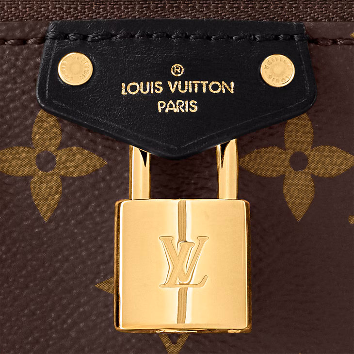 LV Bag 4