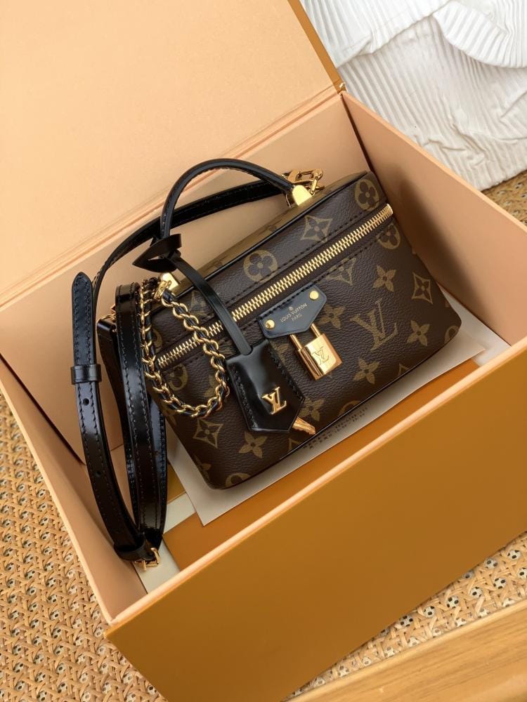 LV bag 3
